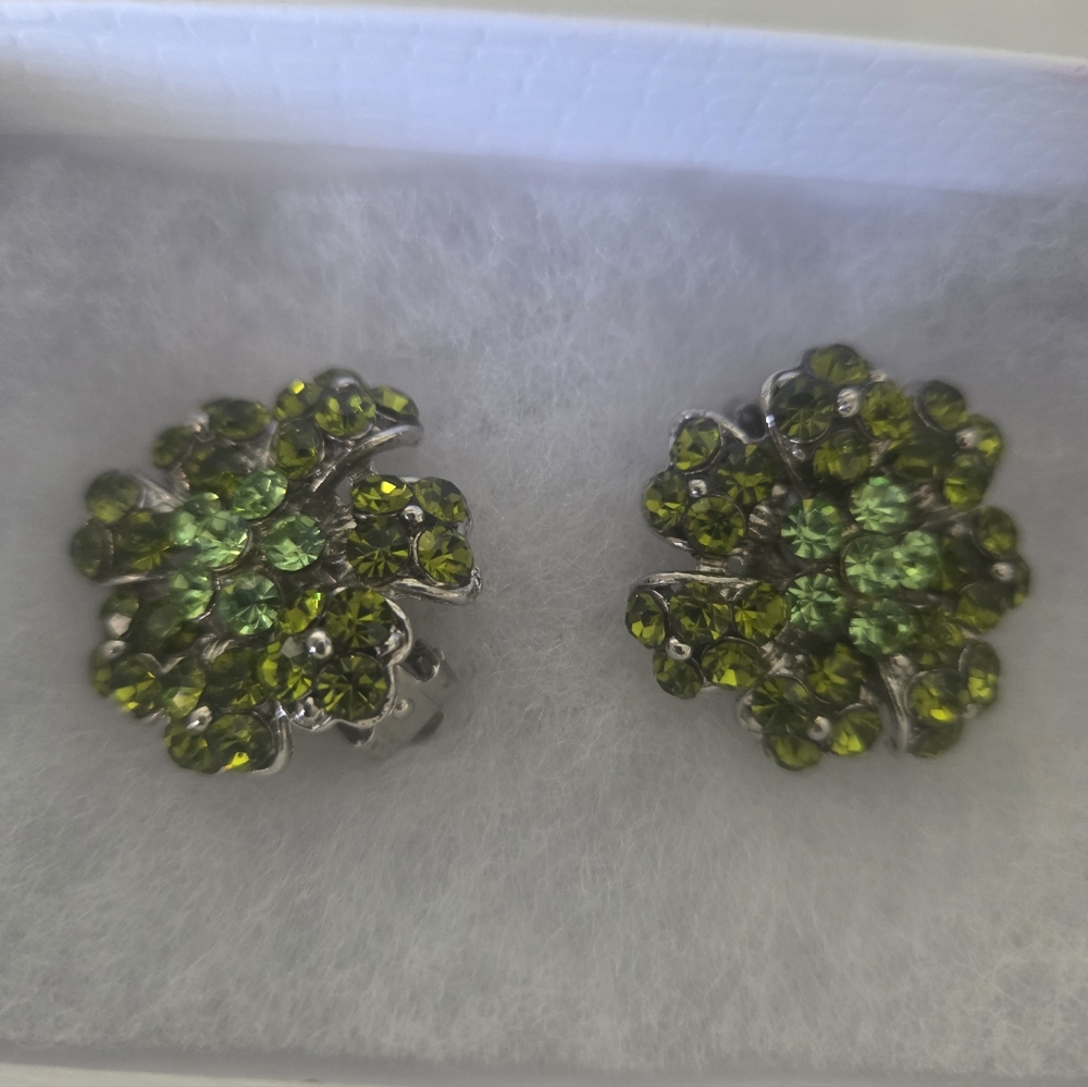Elegant Green  Clip-On Earrings